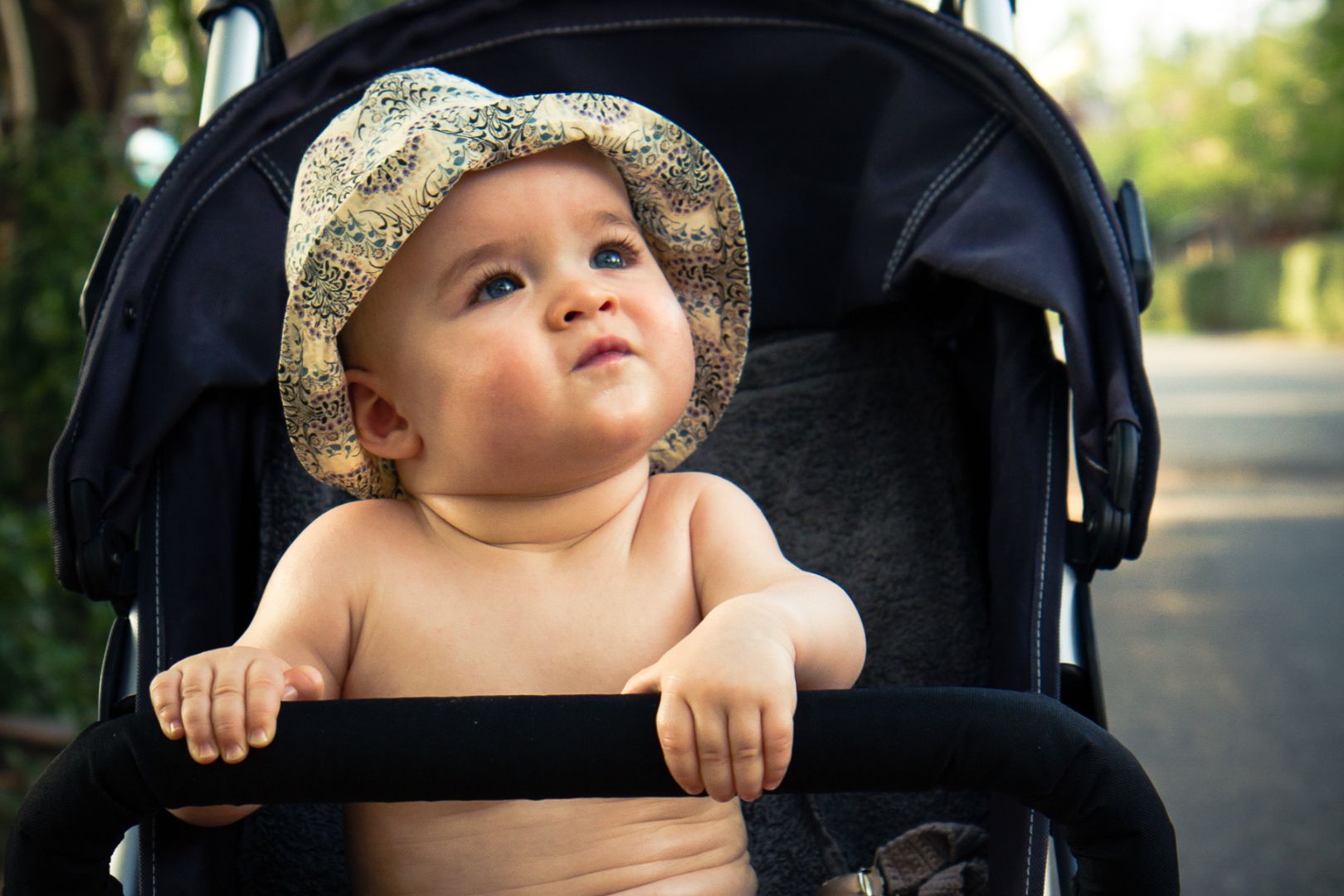 comparando carrinhos de bebe
